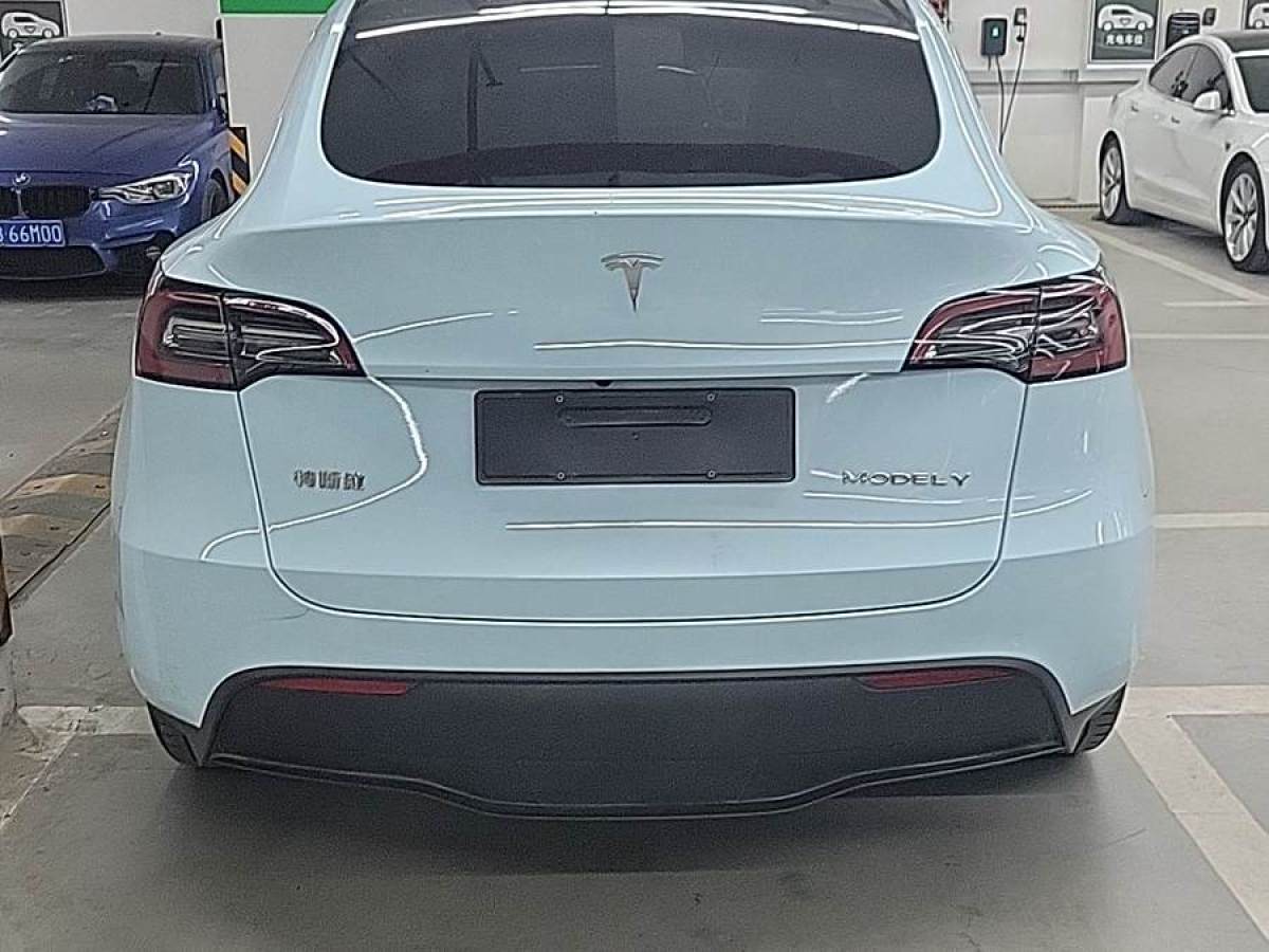 特斯拉 Model Y  2022款 改款 長(zhǎng)續(xù)航全輪驅(qū)動(dòng)版圖片