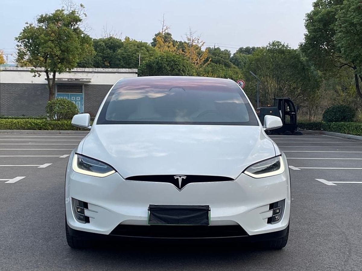 特斯拉 Model X  2017款 Model X 100D 長續(xù)航版圖片