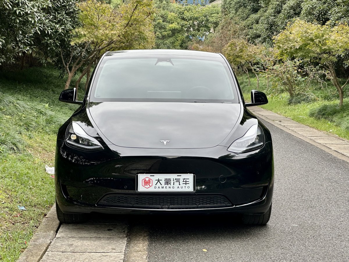 特斯拉 Model Y  2023款 煥新版 后輪驅(qū)動圖片