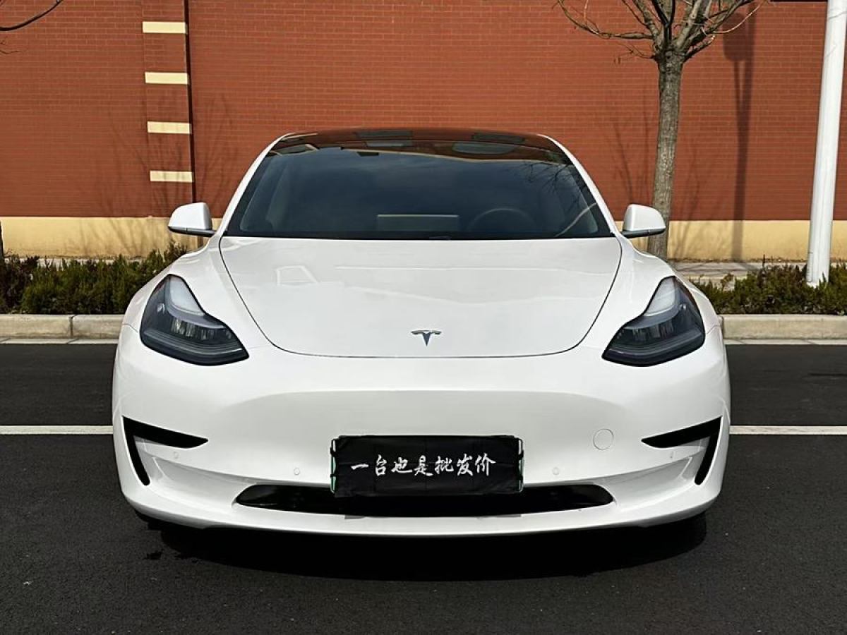 特斯拉 Model 3  2020款 改款 標準續(xù)航后驅升級版圖片