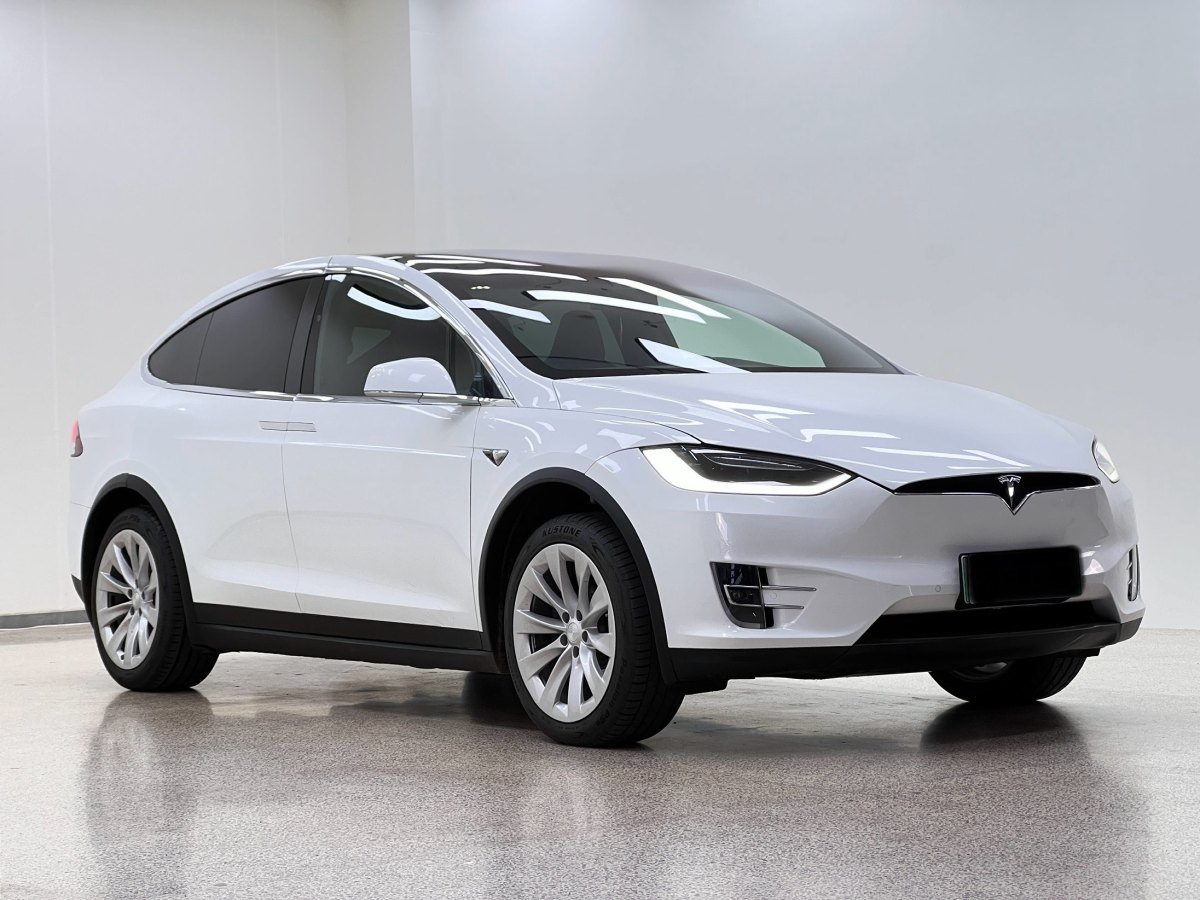 2019年3月特斯拉 Model X  2017款 Model X 100D 長(zhǎng)續(xù)航版