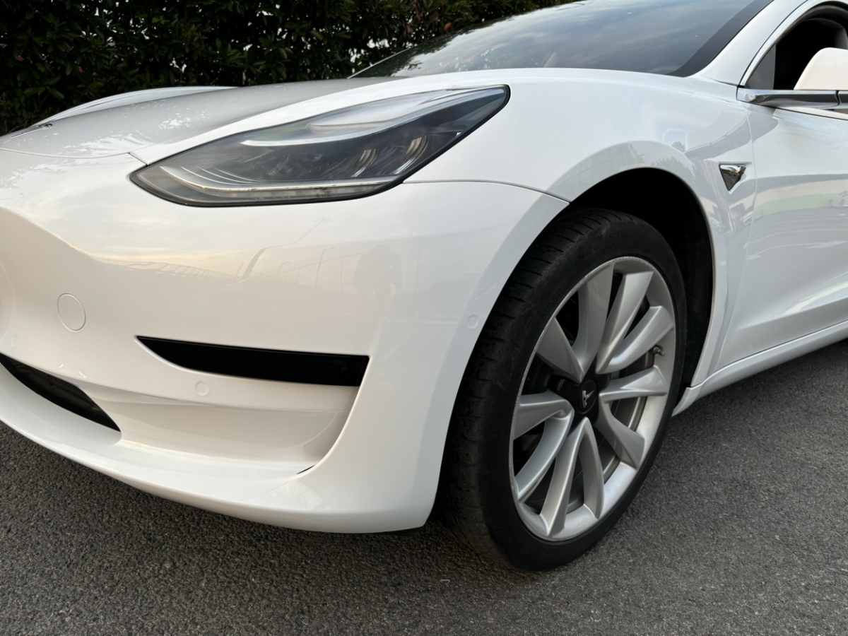 特斯拉 Model 3  2019款 標(biāo)準(zhǔn)續(xù)航后驅(qū)升級(jí)版圖片