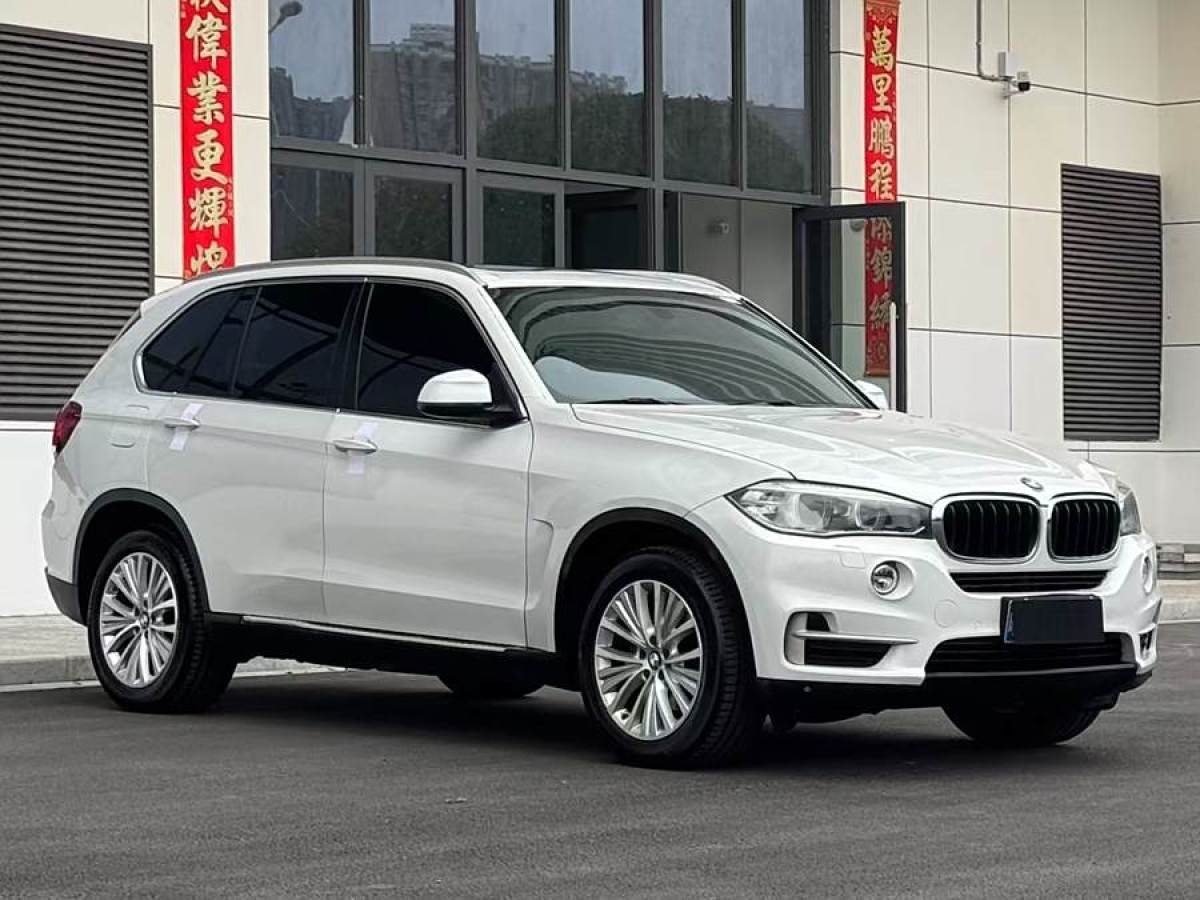 寶馬 寶馬X5  2014款 xDrive35i 領(lǐng)先型圖片