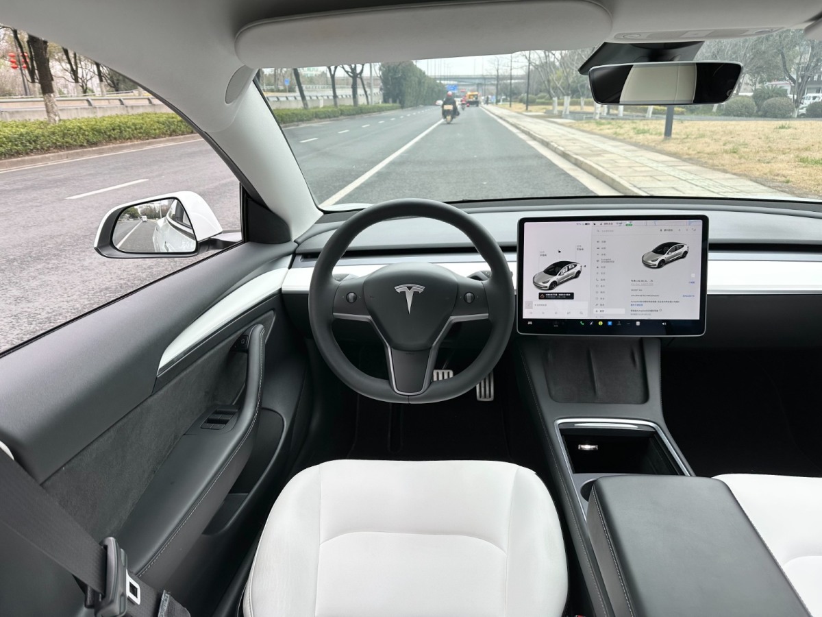 2021年7月特斯拉 Model 3  2021款 Performance高性能全輪驅(qū)動版