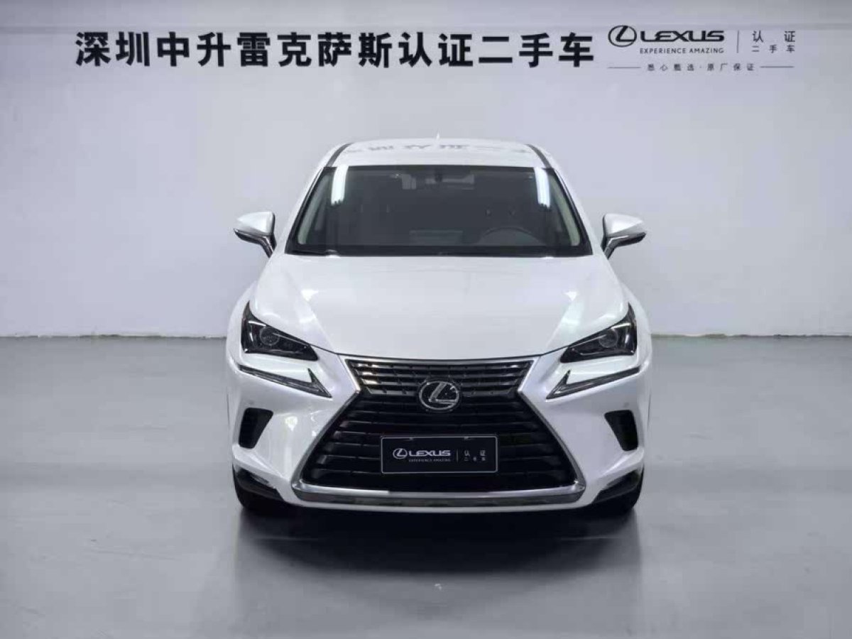 雷克薩斯 NX  2020款 200 前驅(qū) 鋒逸版 國(guó)VI圖片