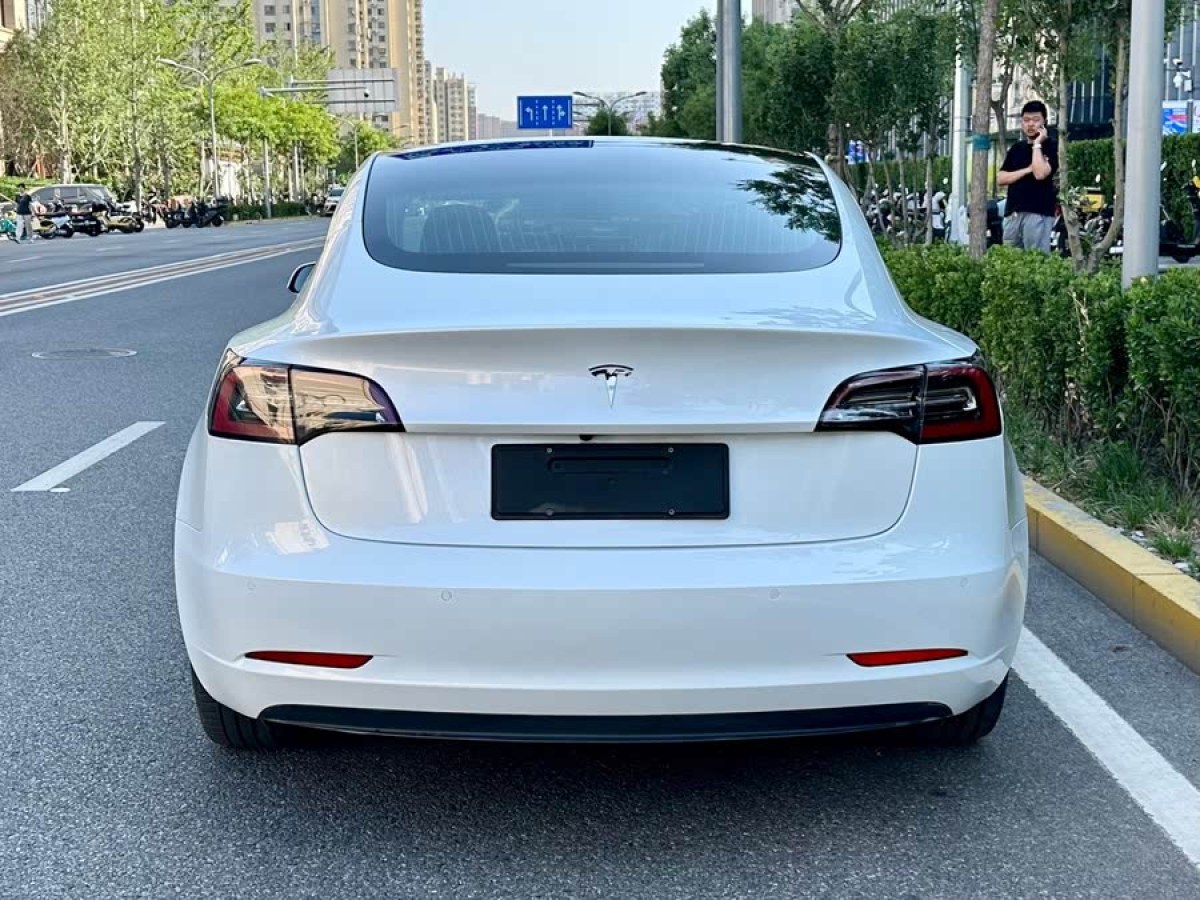 特斯拉 Model 3  2019款 長續(xù)航后驅版圖片