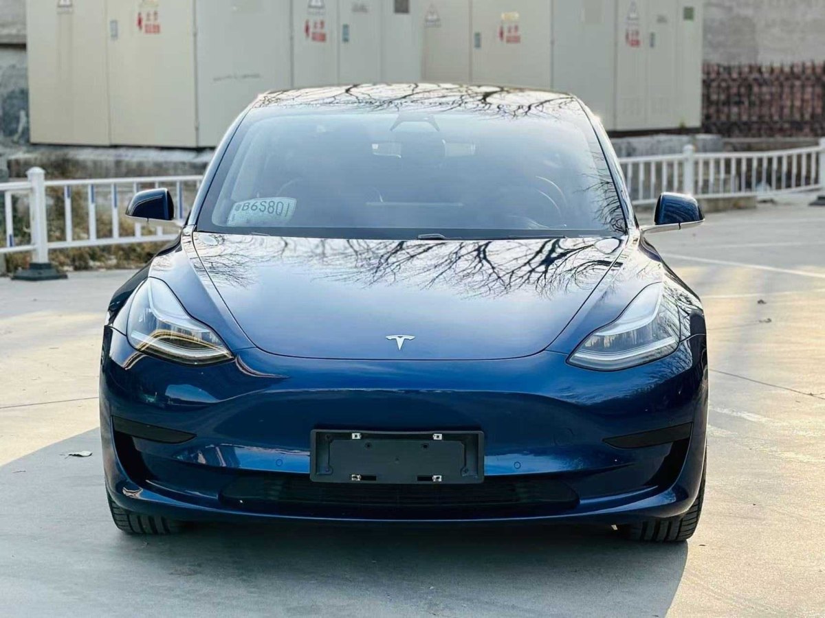 特斯拉 Model 3  2020款 改款 標(biāo)準(zhǔn)續(xù)航后驅(qū)升級(jí)版圖片