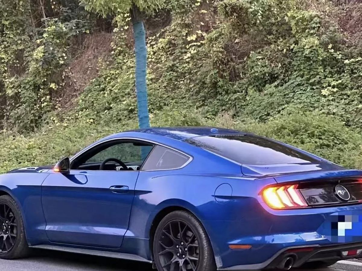 福特 Mustang  2018款 2.3L EcoBoost圖片