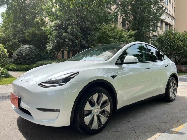 特斯拉 Model Y  2021款 改款 标准续航后驱升级版