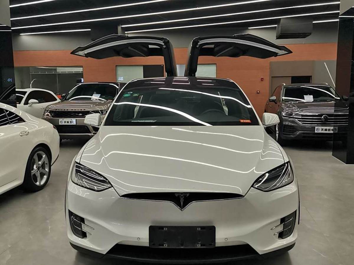 特斯拉 Model X  2019款 長續(xù)航版圖片