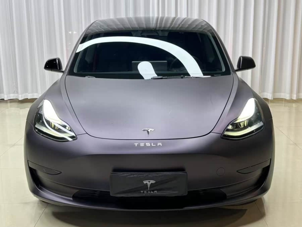 特斯拉 Model 3  2021款 改款 標(biāo)準(zhǔn)續(xù)航后驅(qū)升級版圖片