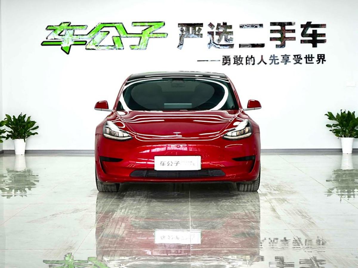 特斯拉 Model 3  2020款 改款 標(biāo)準(zhǔn)續(xù)航后驅(qū)升級(jí)版圖片