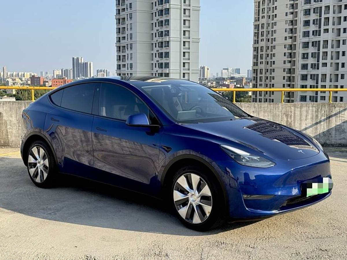 特斯拉 Model Y  2021款 改款 長(zhǎng)續(xù)航全輪驅(qū)動(dòng)版圖片