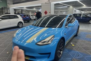 Model 3 特斯拉 標(biāo)準(zhǔn)續(xù)航后驅(qū)升級(jí)版