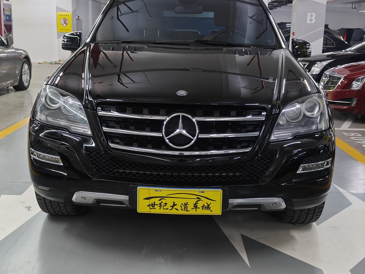 奔馳 奔馳M級(jí)  2010款 ML 350 4MATIC豪華型特別版圖片