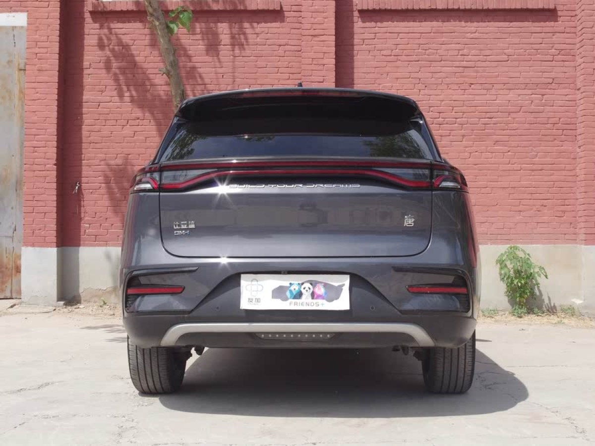 比亞迪 唐新能源  2021款 DM-i 112KM 尊榮型圖片