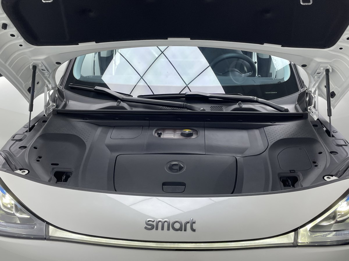 smart smart精靈#1  2023款 Pro版圖片