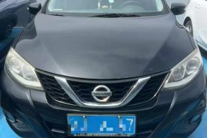 奇駿 日產(chǎn) 2.0L CVT智享版 2WD