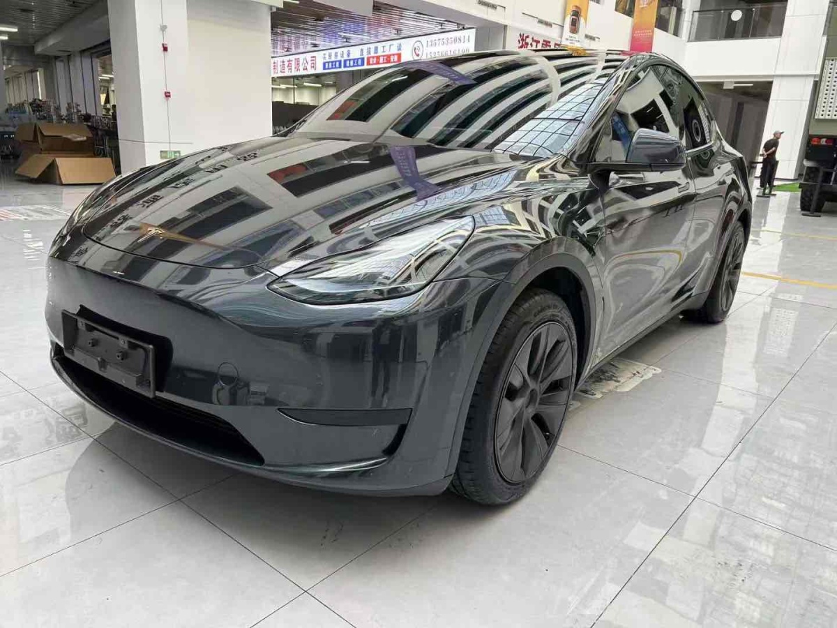 特斯拉 Model Y  2020款 改款 長續(xù)航后輪驅(qū)動版圖片