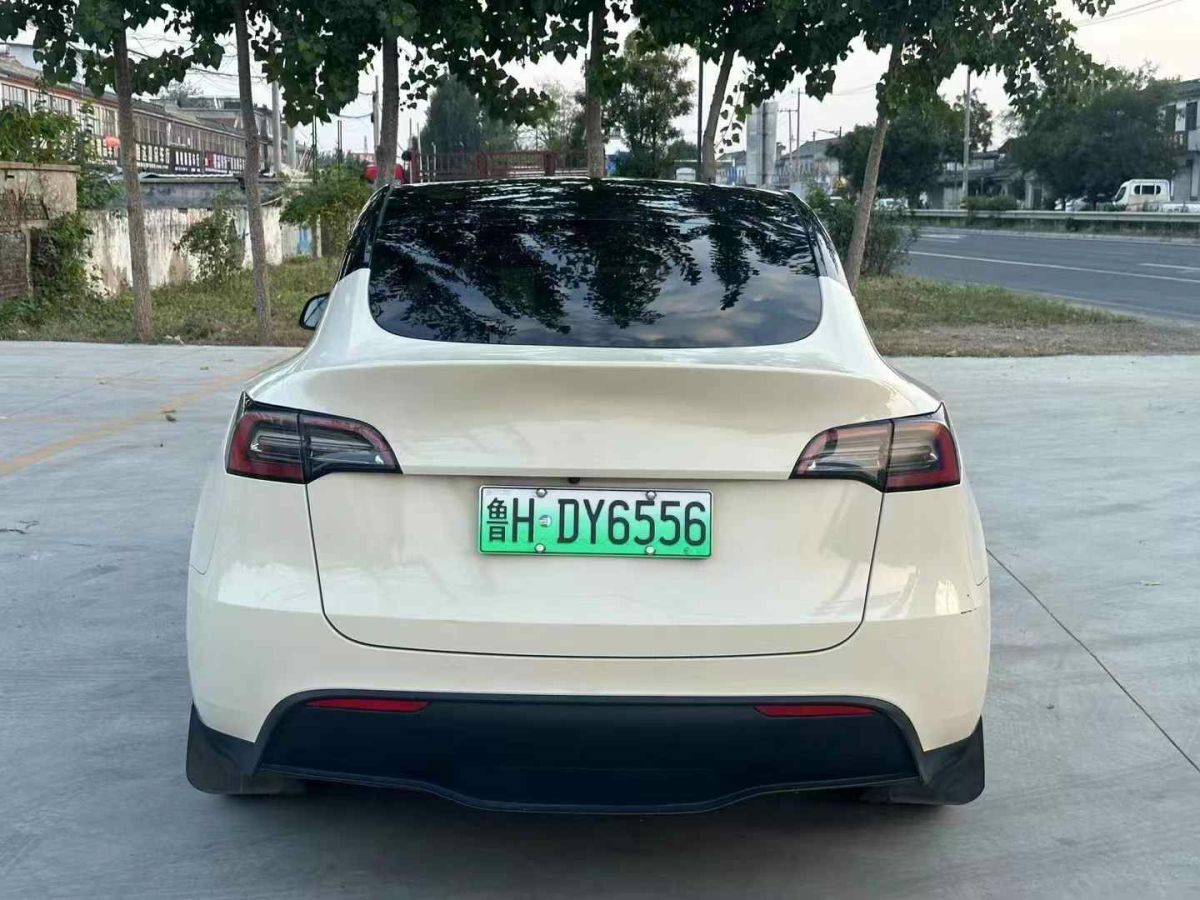 特斯拉 Model S  2023款 三電機(jī)全輪驅(qū)動(dòng) Plaid版圖片