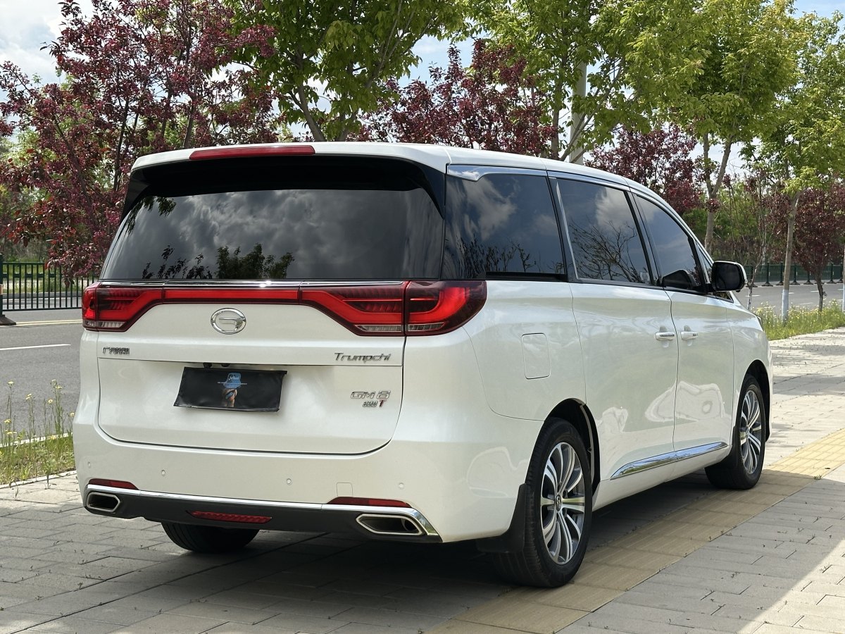 廣汽傳祺 M8  2018款 320T 尊貴版圖片