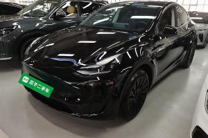 Model Y 特斯拉 改款 长续航后轮驱动版