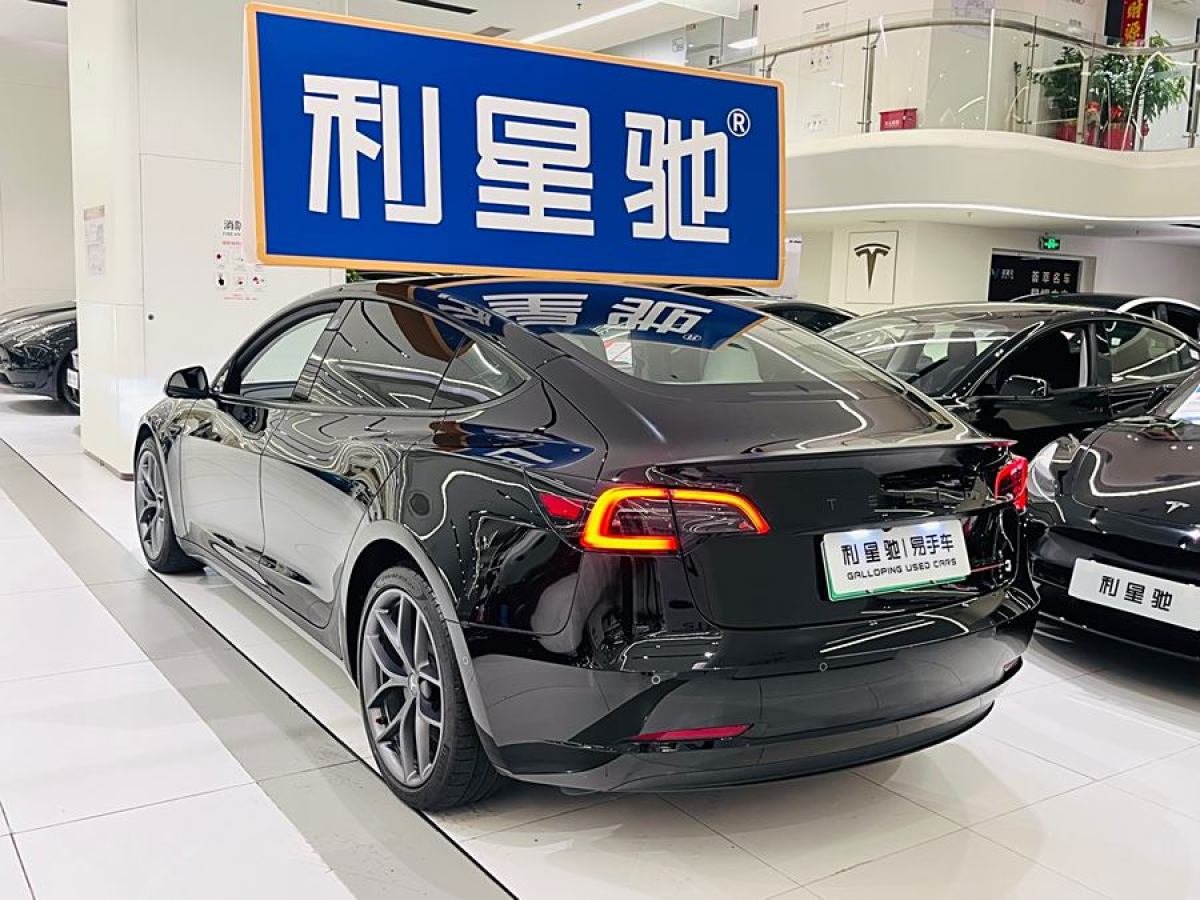 特斯拉 Model 3  2022款 Performance高性能全輪驅(qū)動(dòng)版圖片