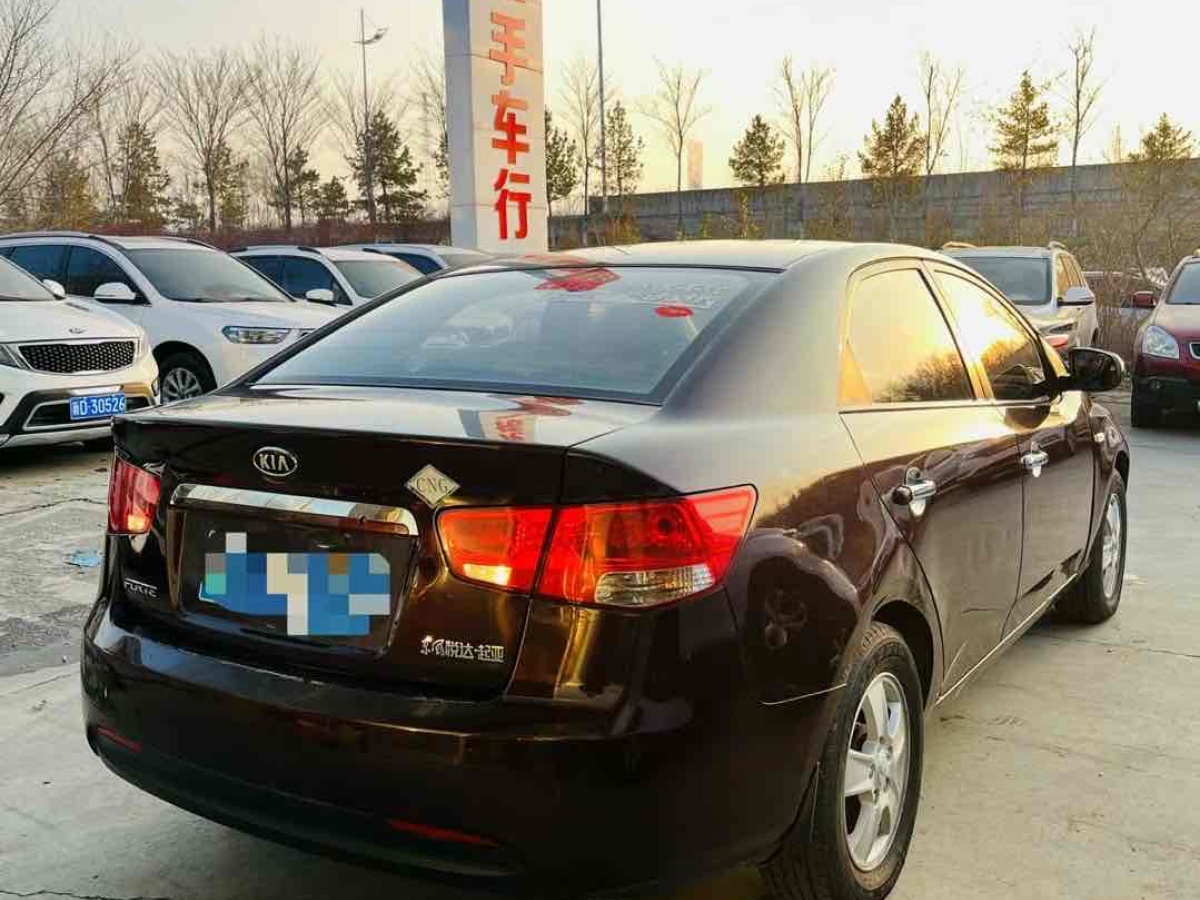 起亞 福瑞迪  2011款 1.6L AT GL圖片