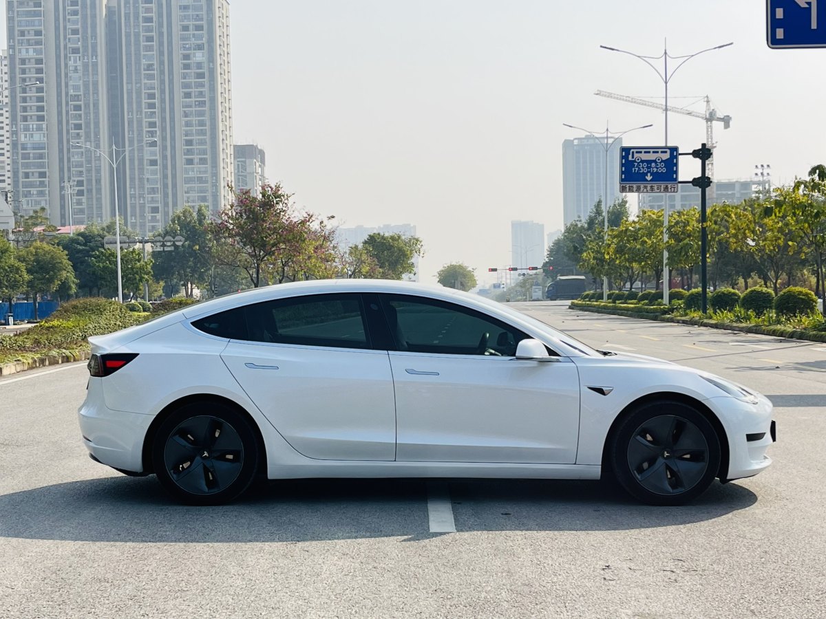 特斯拉 Model 3  2020款 改款 標(biāo)準(zhǔn)續(xù)航后驅(qū)升級(jí)版圖片