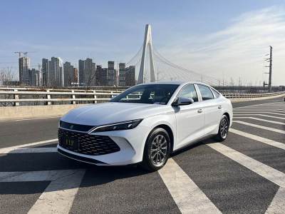 2024年8月 比亞迪 秦L DM-i 80KM領(lǐng)先型圖片