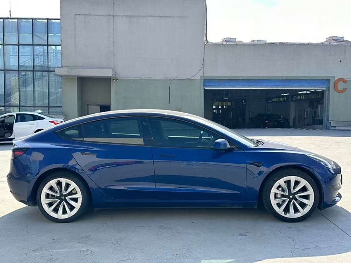 特斯拉 Model 3  2021款 改款 標(biāo)準(zhǔn)續(xù)航后驅(qū)升級(jí)版圖片