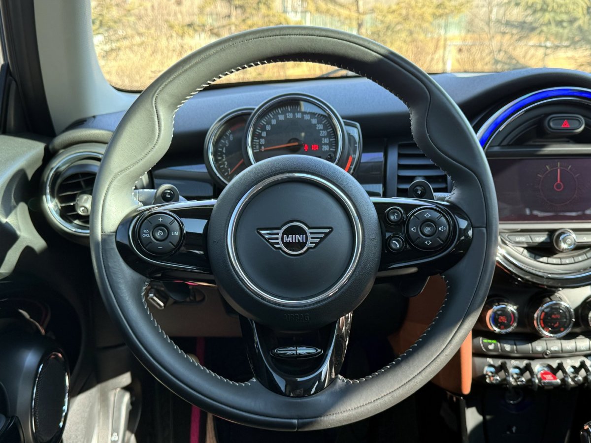 MINI MINI  2019款 2.0T COOPER S 藝術家圖片