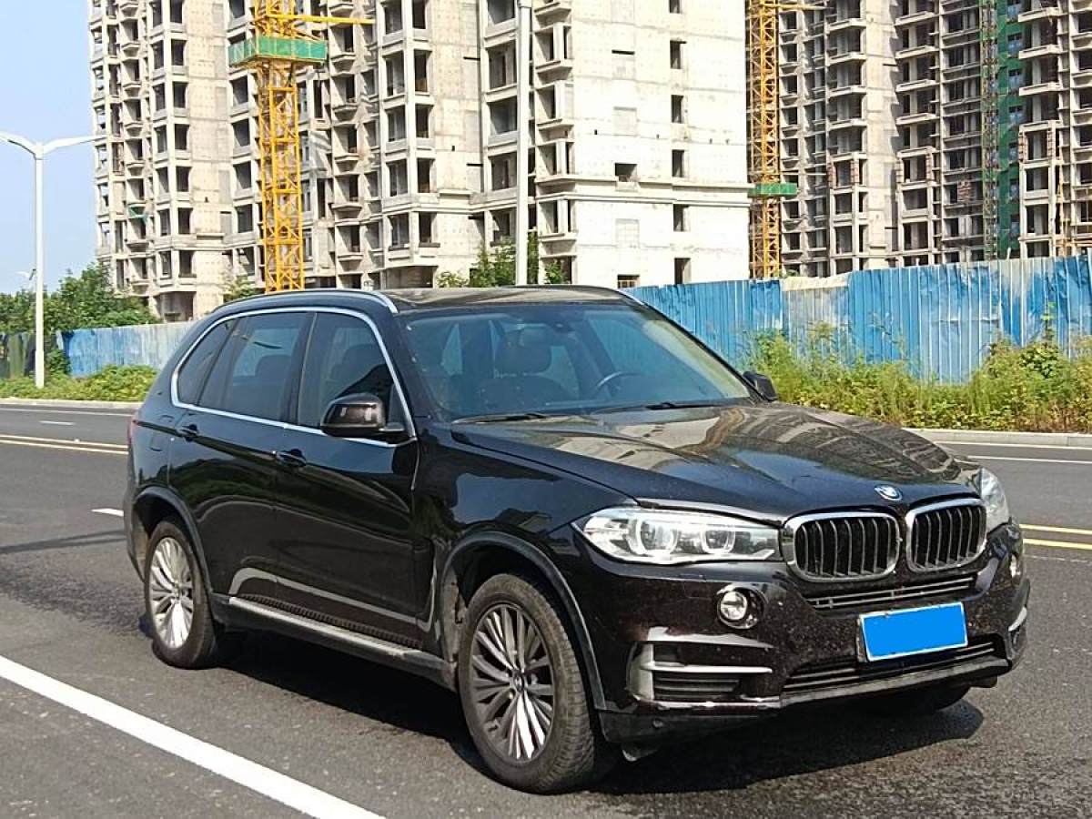 寶馬 寶馬X5  2014款 xDrive35i 領(lǐng)先型圖片