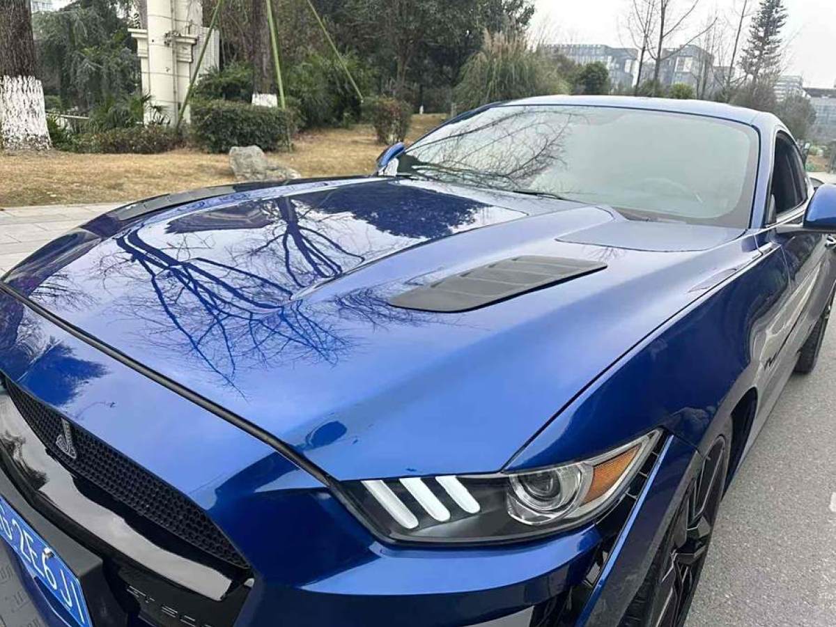 福特 Mustang  2015款 2.3T 性能版圖片