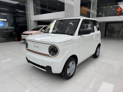 2025年3月 吉利 熊貓mini 200km 耐力熊圖片