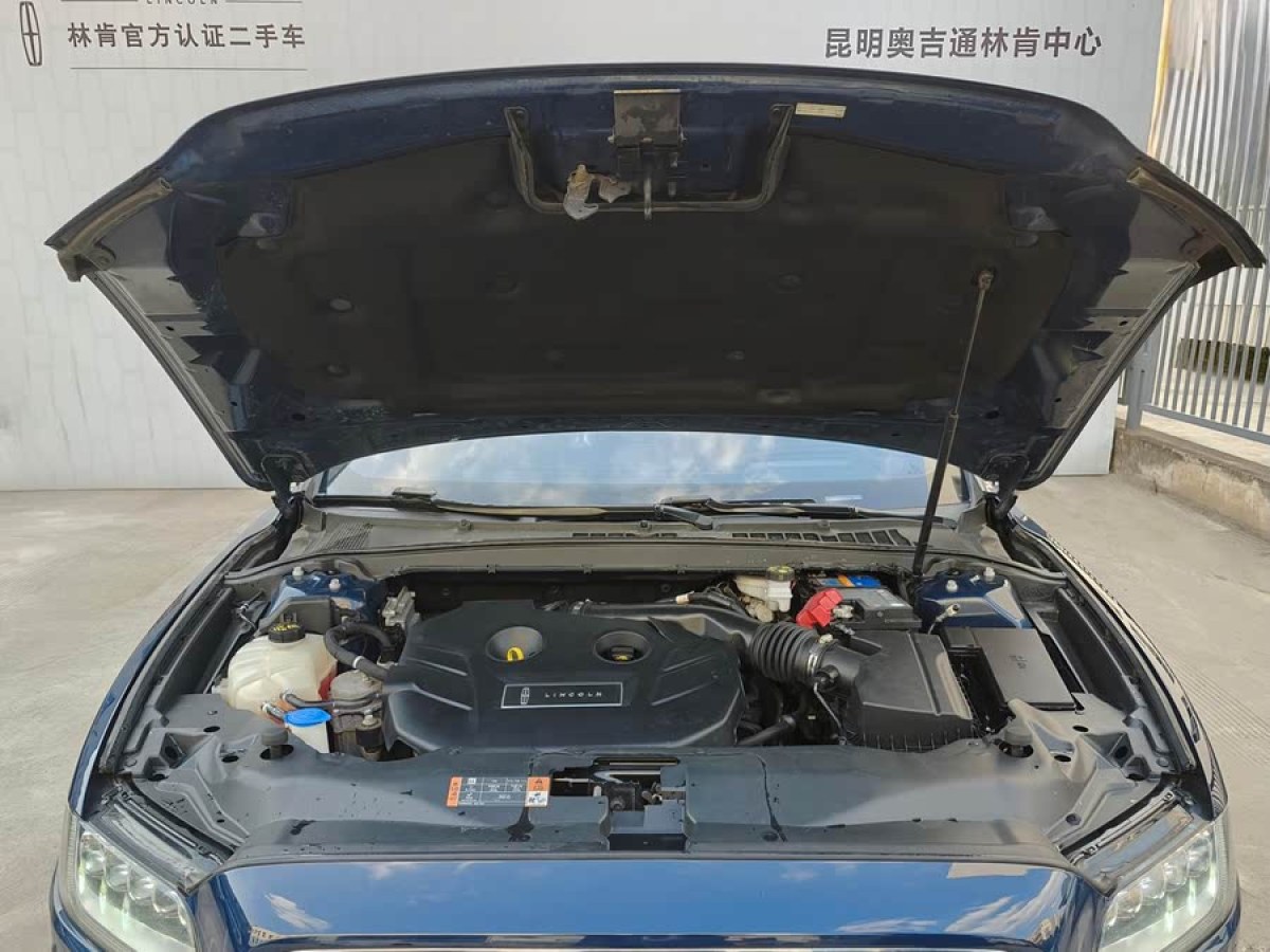 林肯 大陸  2020款 2.0T 兩驅(qū)MONO限量尊耀版 MONO BLACK圖片