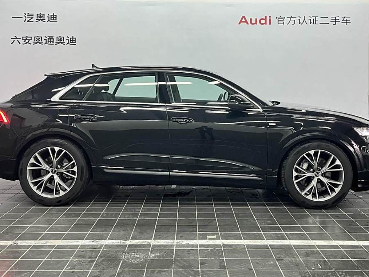 奧迪 奧迪Q8  2023款 55 TFSI 豪華動(dòng)感型圖片