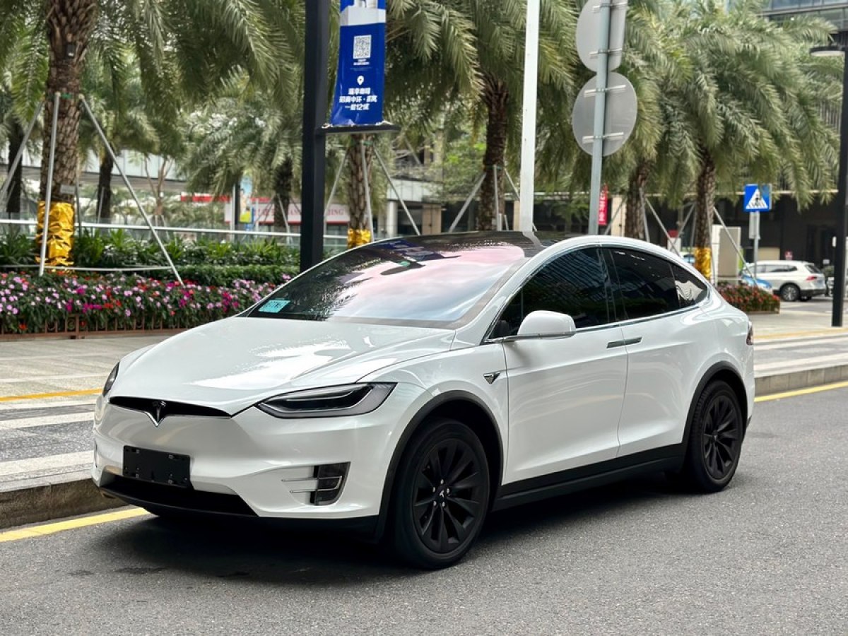 特斯拉 Model X  2016款 Model X 75D圖片