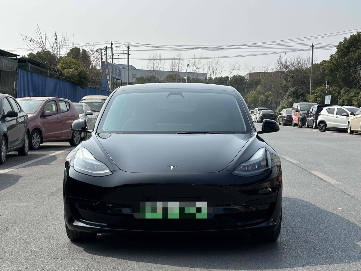 特斯拉 Model 3  2019款 標(biāo)準(zhǔn)續(xù)航后驅(qū)升級版圖片