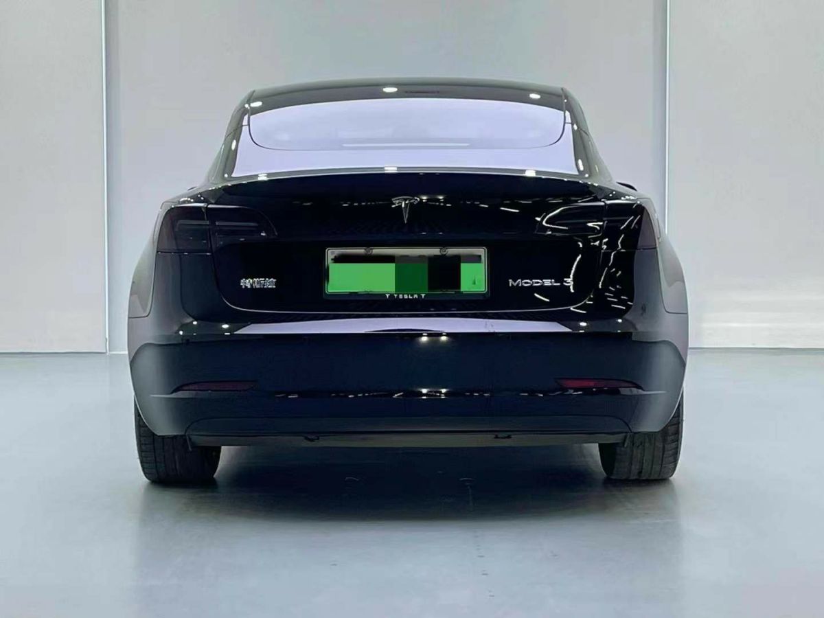 特斯拉 Model S  2023款 三電機(jī)全輪驅(qū)動(dòng) Plaid版圖片