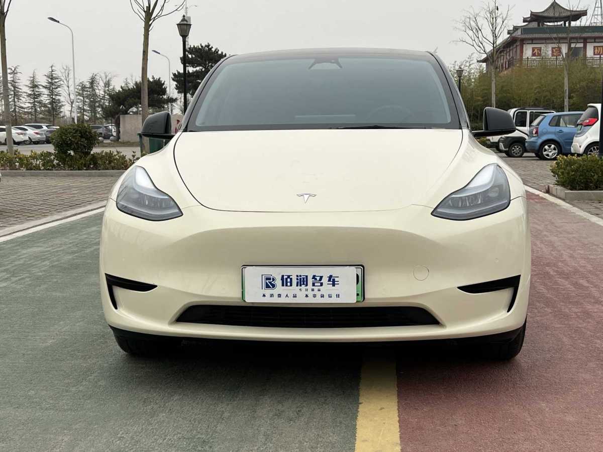 特斯拉 Model 3  2020款 改款 長續(xù)航后輪驅(qū)動(dòng)版圖片