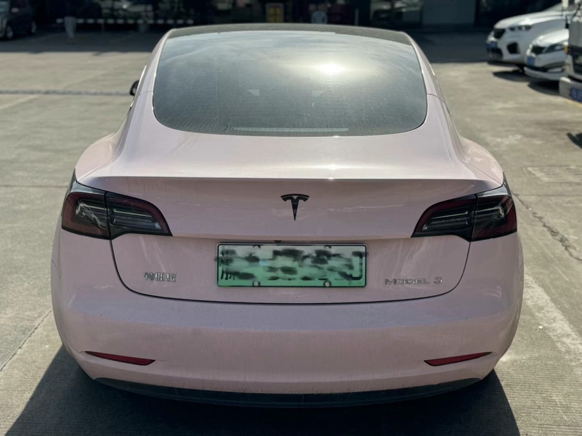 特斯拉 Model 3  2021款 標準續(xù)航后驅(qū)升級版圖片