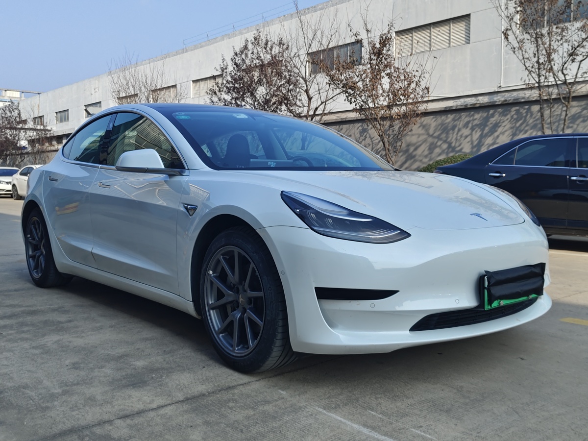 特斯拉 Model 3  2019款 標(biāo)準(zhǔn)續(xù)航后驅(qū)升級版圖片