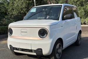 熊猫mini 吉利 200km 灵动熊