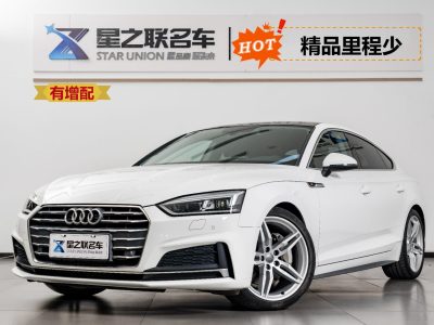 2018年12月 奧迪 奧迪A5(進(jìn)口) Sportback 45 TFSI 運動型圖片