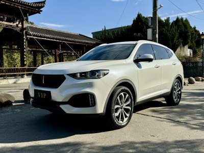 2019年6月 WEY VV6 2.0T 两驱超豪型 国VI图片