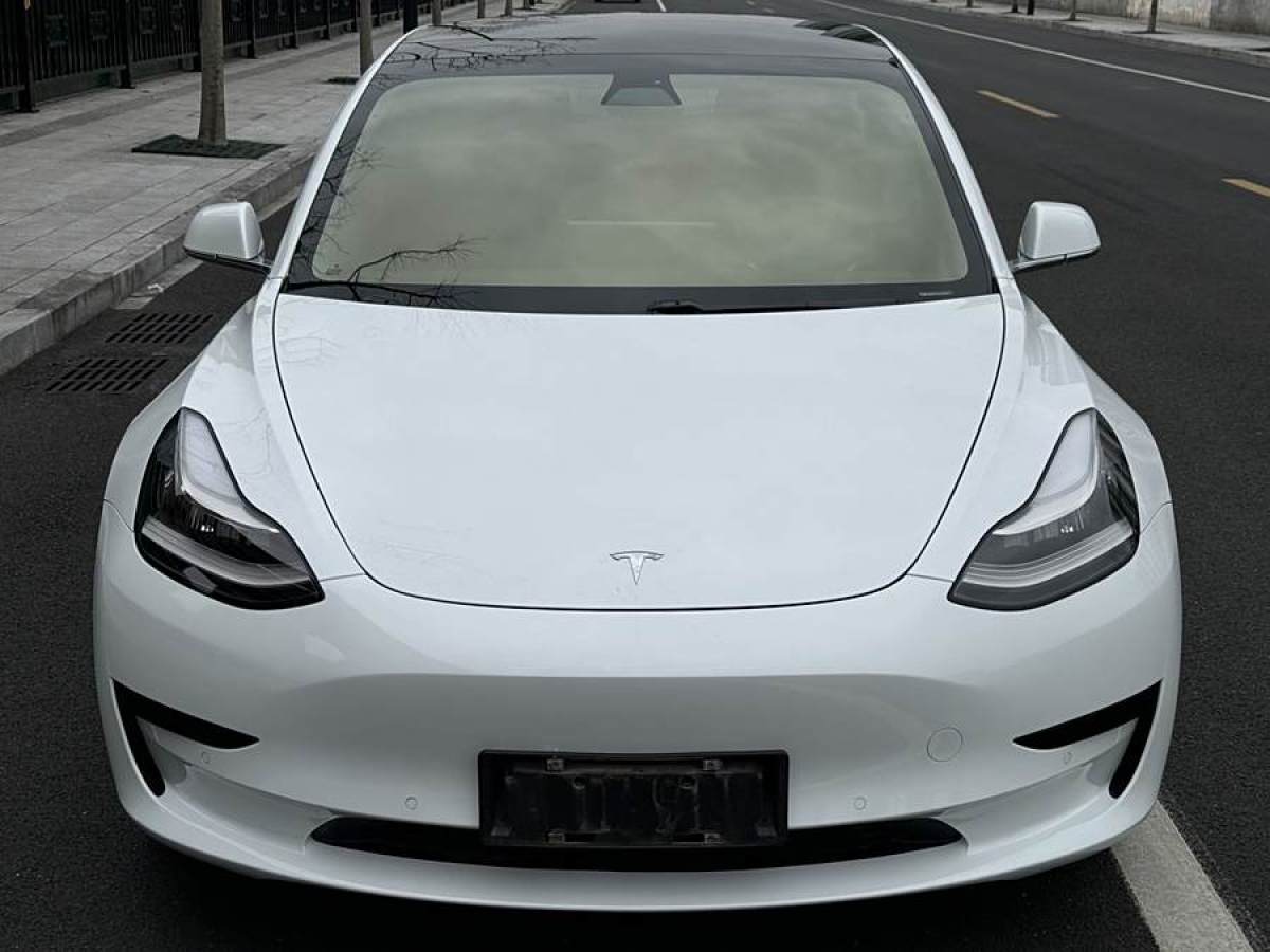 特斯拉 Model 3  2020款 改款 標(biāo)準(zhǔn)續(xù)航后驅(qū)升級(jí)版圖片