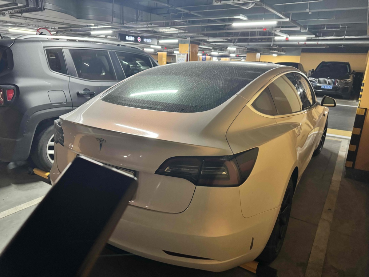 特斯拉 Model 3  2019款 標(biāo)準(zhǔn)續(xù)航后驅(qū)升級版圖片