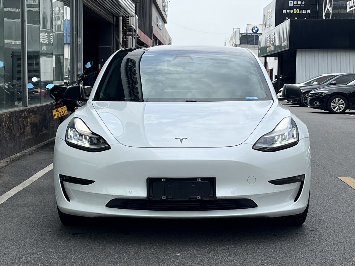 特斯拉 Model 3  2019款 長(zhǎng)續(xù)航全輪驅(qū)動(dòng)版圖片