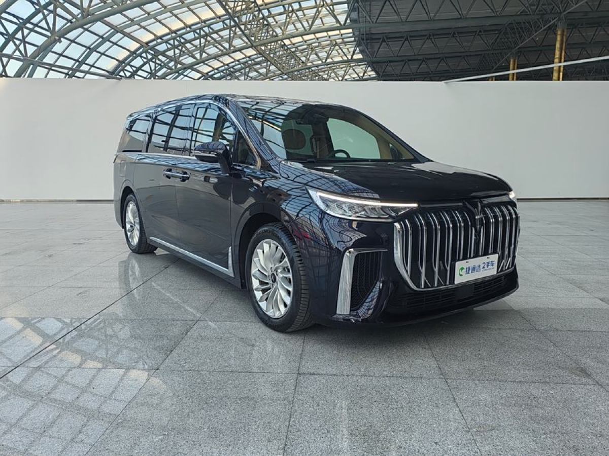 嵐圖 夢想家  2024款 PHEV 超長續(xù)航尊貴版圖片